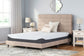 Ashley Express - 10 Inch Chime Elite Queen Mattress